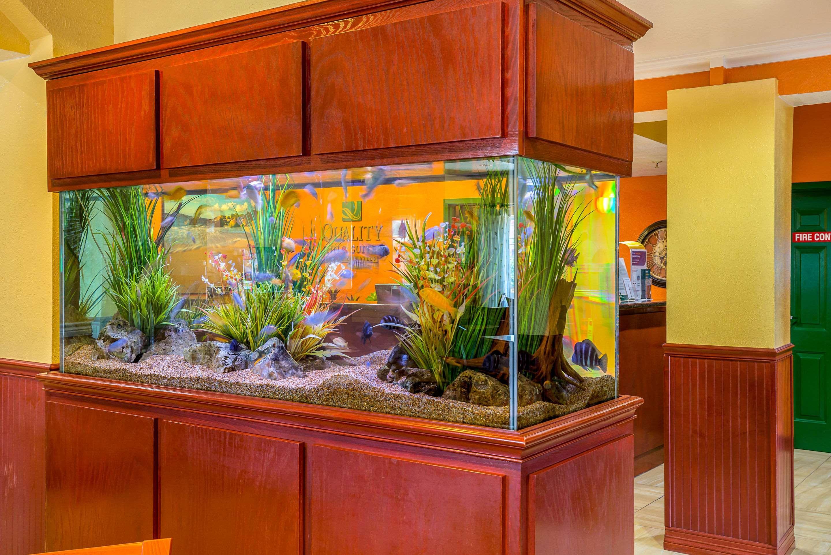 Quality Inn & Suites Galveston - Beachfront Экстерьер фото